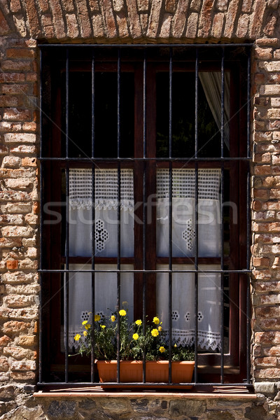 Alten Fenster gelbe Blume Zentrum Holz Licht Stock foto © lkpro