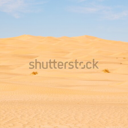 Stockfoto: Heuvel · afrika · Marokko · oude · historisch · dorp