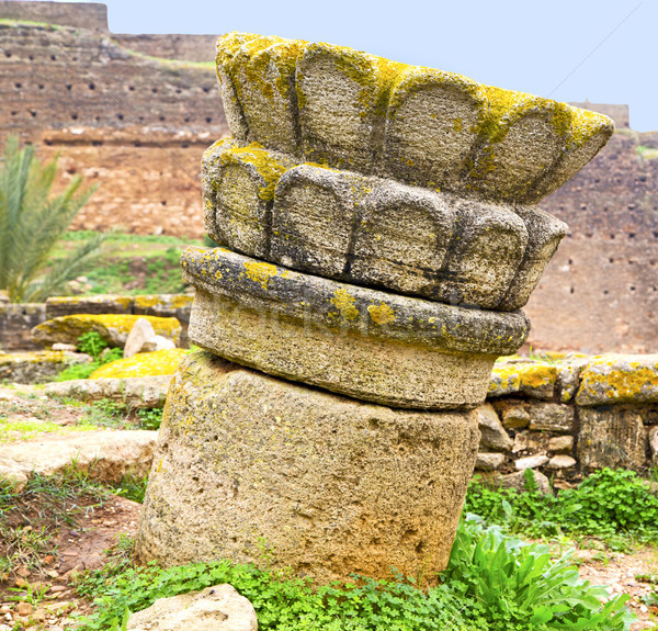 chellah  in morocco africa the old roman deteriorated monument a Stock photo © lkpro