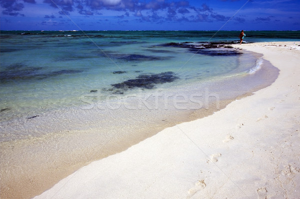  footstep in ile du cerfs mauritius Stock photo © lkpro