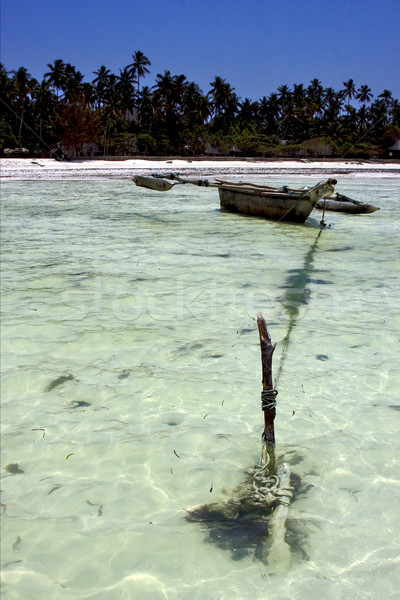 Strand kustlijn boot Tanzania boom zee Stockfoto © lkpro
