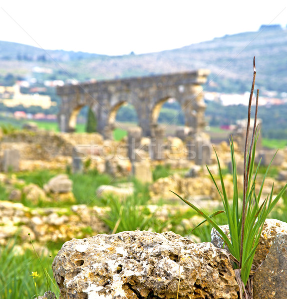 volubilis in morocco africa the old roman deteriorated monument  Stock photo © lkpro