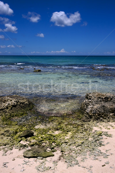 Praia rocha pedra Dominica água natureza Foto stock © lkpro