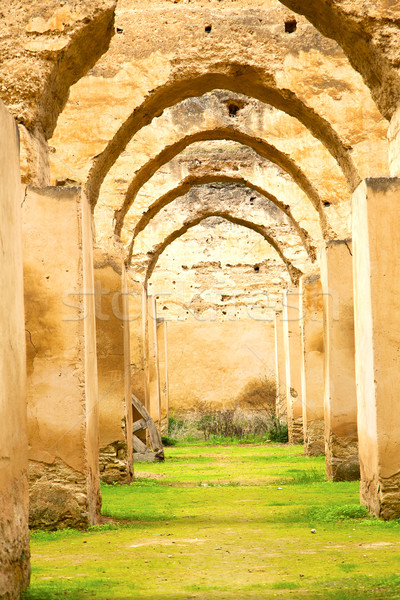 old moroccan granary in the green grass   Stock photo © lkpro