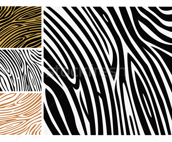 Animal Background Pattern - Zebra Skin Print
 Stock photo © lordalea