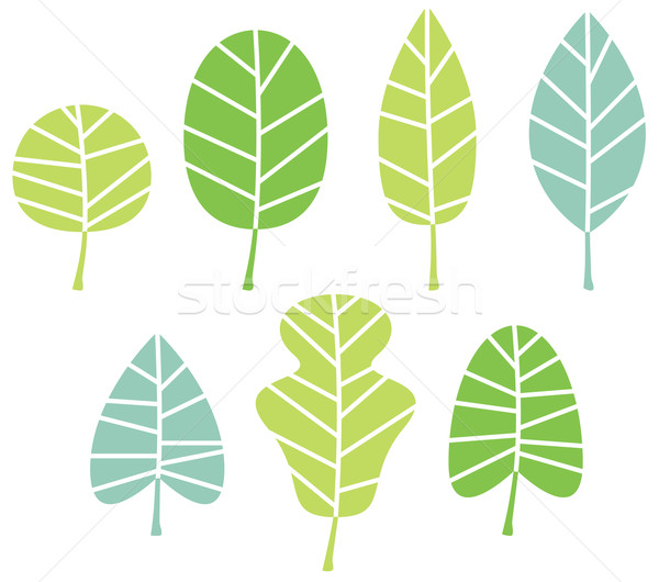 Green tree leaves collection isolated on white Stock photo © lordalea