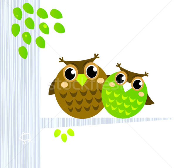 Twee cute uilen vergadering tak geïsoleerd Stockfoto © lordalea