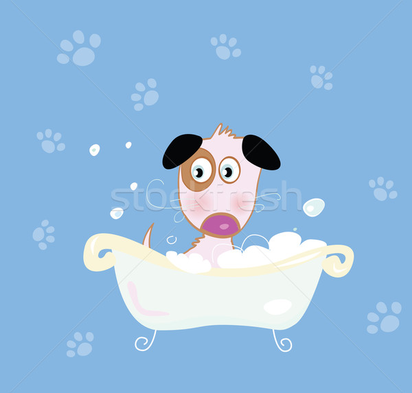 [[stock_photo]]: Cute · chien · bain · faible · eau