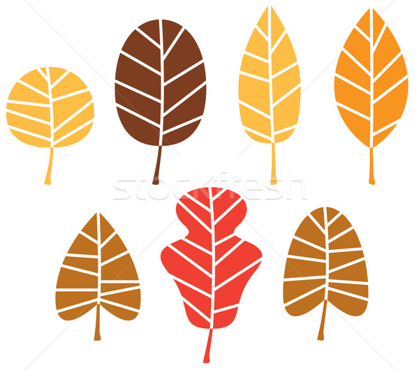 Foto stock: Colorido · outono · árvore · folhas · conjunto · isolado