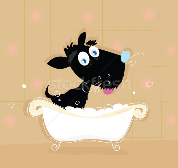 黑色 狗 浴 洗澡 小 面對 商業照片 © lordalea