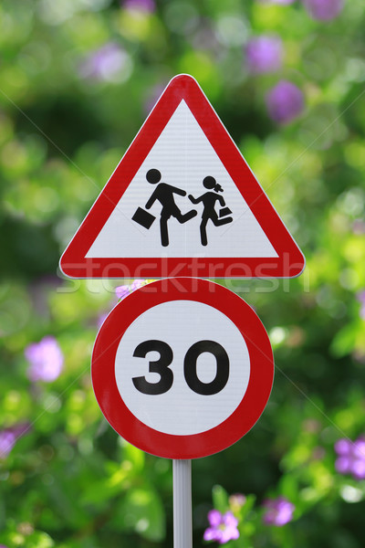 22+ Thousand Children Crossing Sign Royalty-Free Images, Stock