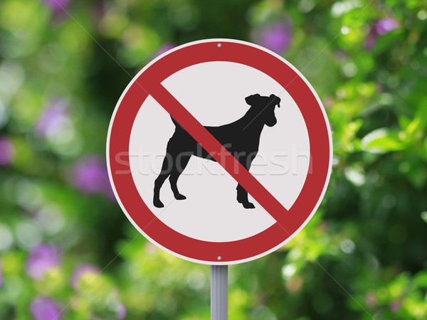 Stock fotó: Nem · kutyák · megengedett · felirat · park