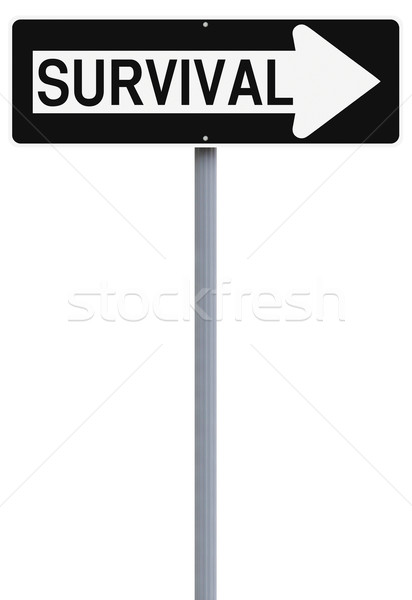 Erre túlélés egyirányú utca felirat nyíl fehér háttér Stock fotó © lorenzodelacosta