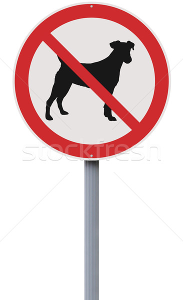 Geen honden toegestaan teken park Stockfoto © lorenzodelacosta
