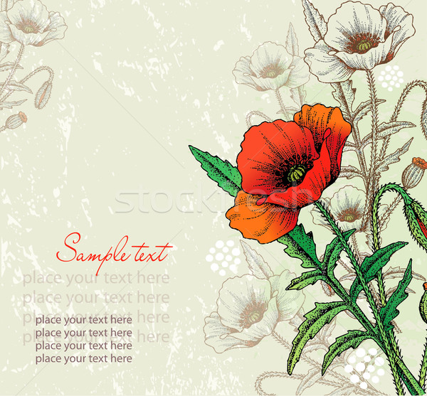 Foto stock: Cartão · abstrato · flores · vermelho · papoula · papel
