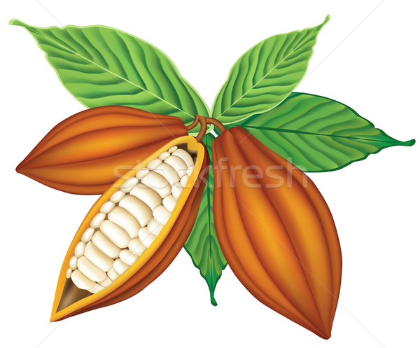 [[stock_photo]]: Feuilles · vertes · chocolat · fruits · tropicales · cuisson