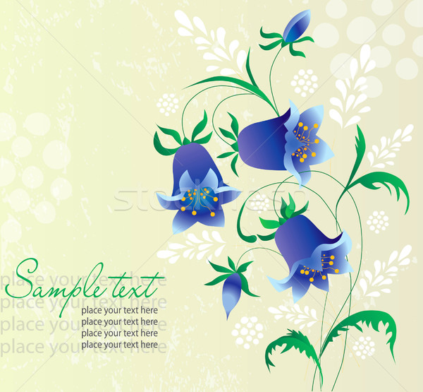 Karty streszczenie kwiaty strony dzwon projektu Zdjęcia stock © lossik