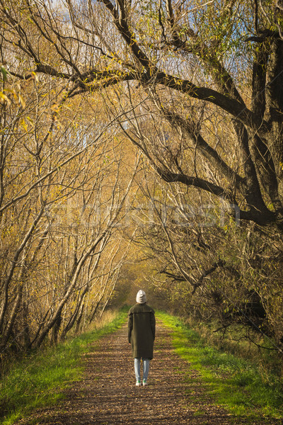 woman walks along boardwalk/path traverses wetlands Stock photo © lostation