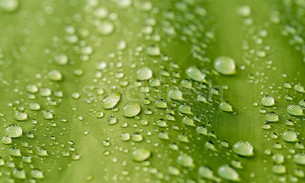Ploaie picătură de apă cort verde textură abstract Imagine de stoc © lostation