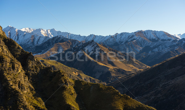 Montanha alcance Nova Zelândia céu árvore paisagem Foto stock © lostation