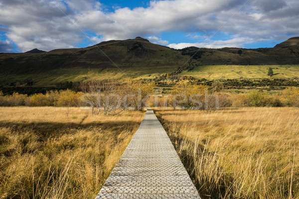 boardwalk/path traverses wetlands Stock photo © lostation