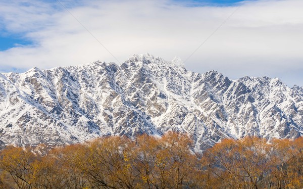 Foto stock: Montana · cubierto · nieve · Nueva · Zelandia · cielo · árboles