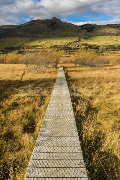 boardwalk/path traverses wetlands Stock photo © lostation