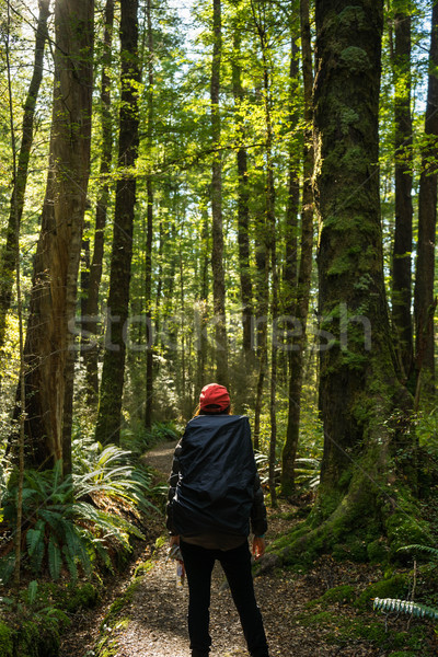Stock photo: woman hiker at Kepler track