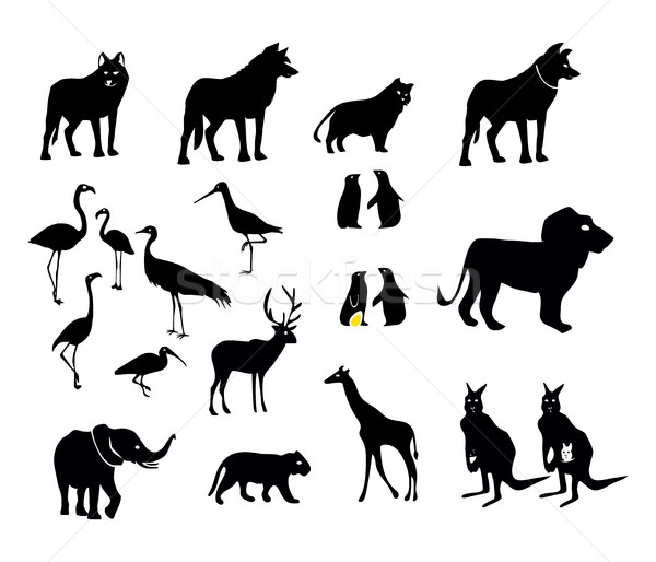 Wild Animal Icons Set as Black Vector Silhouettes Isolated on White Background Stock photo © Loud-Mango