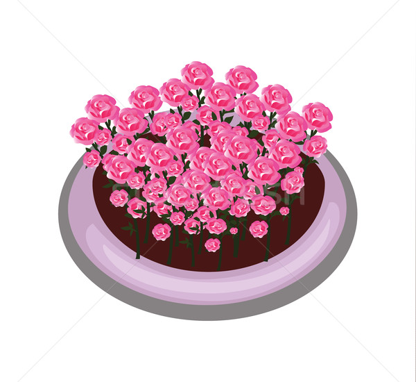 Foto stock: Isométrica · desenho · animado · flor · arbusto · cama · rosas · vermelhas