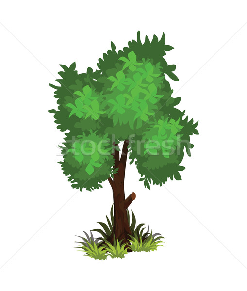 Isometric Cartoon Bushy Green Tree - Tileset Map Element or Game Object Stock photo © Loud-Mango