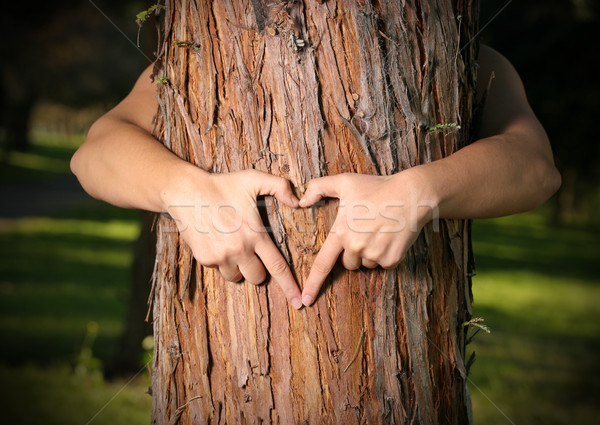 Baum Liebhaber Natur Person Menschen wachsen Stock foto © lovleah