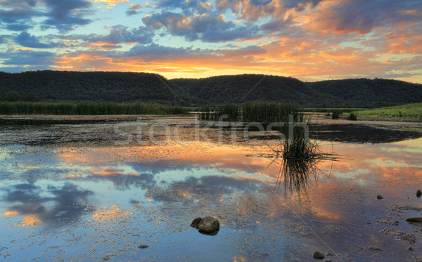 Sunset over the nature lake Boorooberongal Stock photo © lovleah