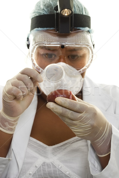 Scientifica forense medici rene bianco Foto d'archivio © lovleah