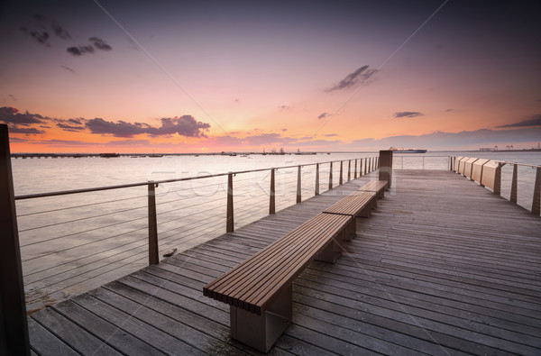 Zonsondergang plantkunde Sydney Australië hout wolken Stockfoto © lovleah