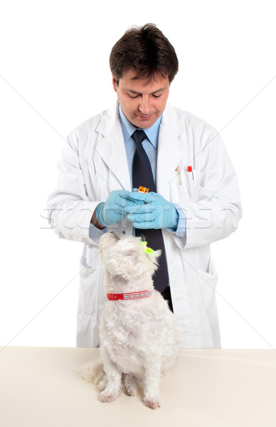 Vet opens pill bottle Stock photo © lovleah