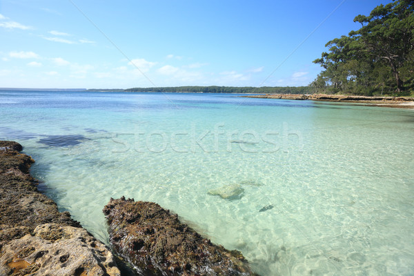 Ponto Austrália árvores verão oceano viajar Foto stock © lovleah
