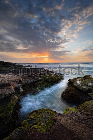 Beautiful coastal sunrise Stock photo © lovleah
