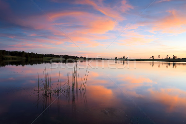 Sunset Duralia Lake Penrith Australia Stock photo © lovleah