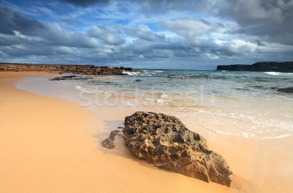 Na północ plaży centralny wybrzeża lata ocean Zdjęcia stock © lovleah