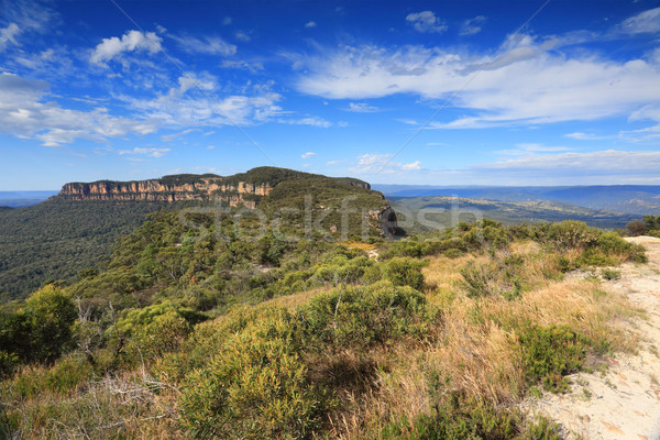 Narrowneck Plateau Blue Mountains Australia Stock photo © lovleah