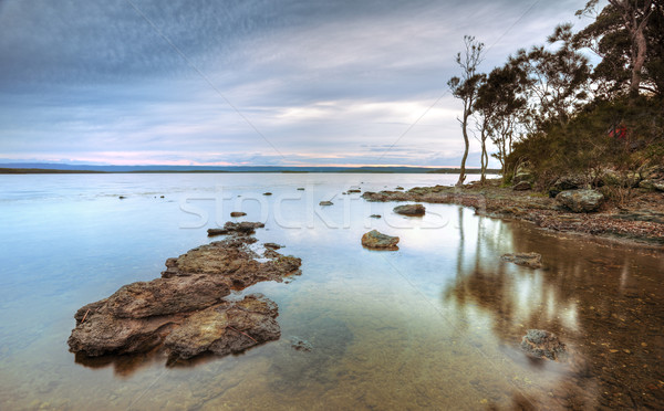 Punkt Australia drzew skał wypoczynku sceniczny Zdjęcia stock © lovleah