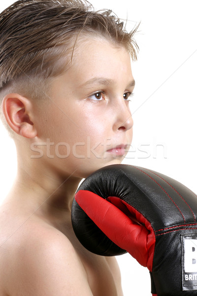 Boxer Champ Stock photo © lovleah