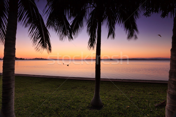 Sunset at Lake Macquarie, NSW Australia Stock photo © lovleah