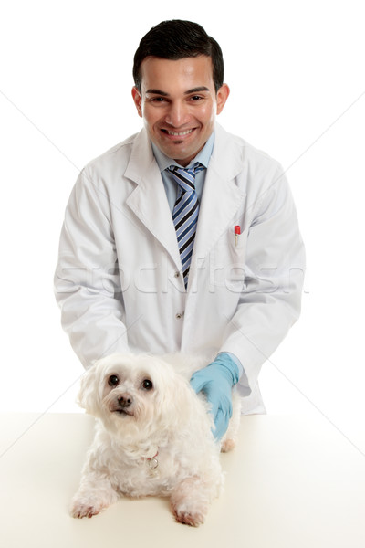 Confident vet with pet dog Stock photo © lovleah