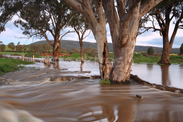 Fangoso Australia prisa paisaje rural agua Foto stock © lovleah