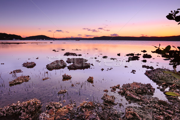 Tidal shallows at sunset sundown Stock photo © lovleah