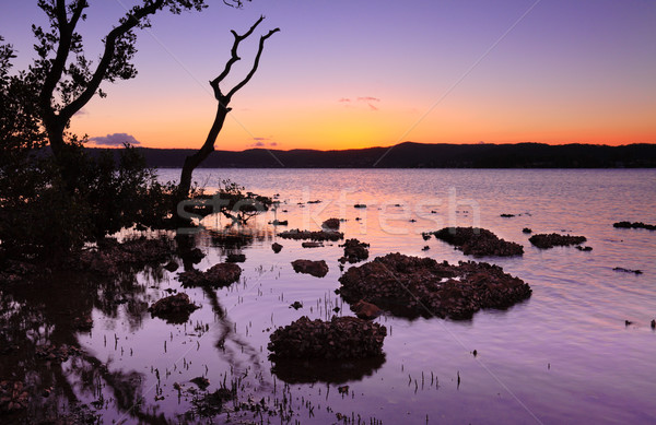 Tidal shallows at sundown landscape Stock photo © lovleah