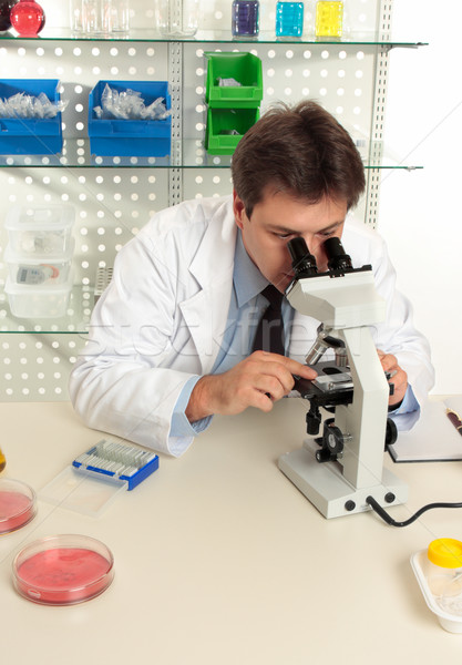 Tudós mikroszkóp laboratórium tárgy nagyítás férfi Stock fotó © lovleah