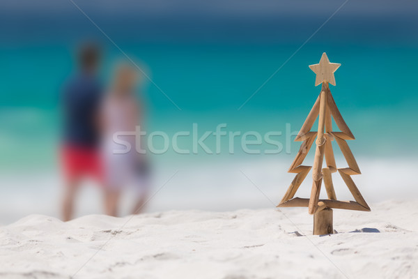 Christmas spent down at the beach Stock photo © lovleah